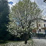 La Casetta Di Renzo E Lucia Olginate