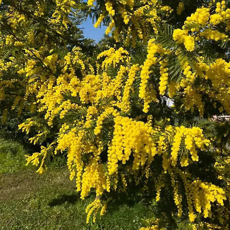 La Casetta Di Renzo E Lucia Villa
