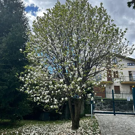La Casetta Di Renzo E Lucia Olginate