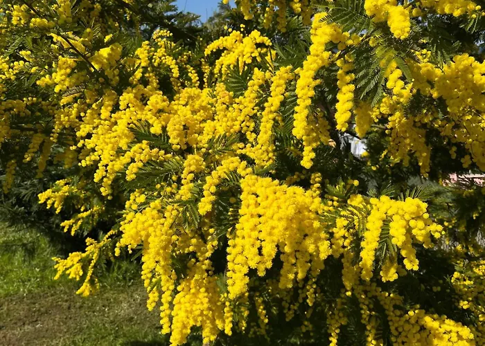 La Casetta Di Renzo E Lucia Villa